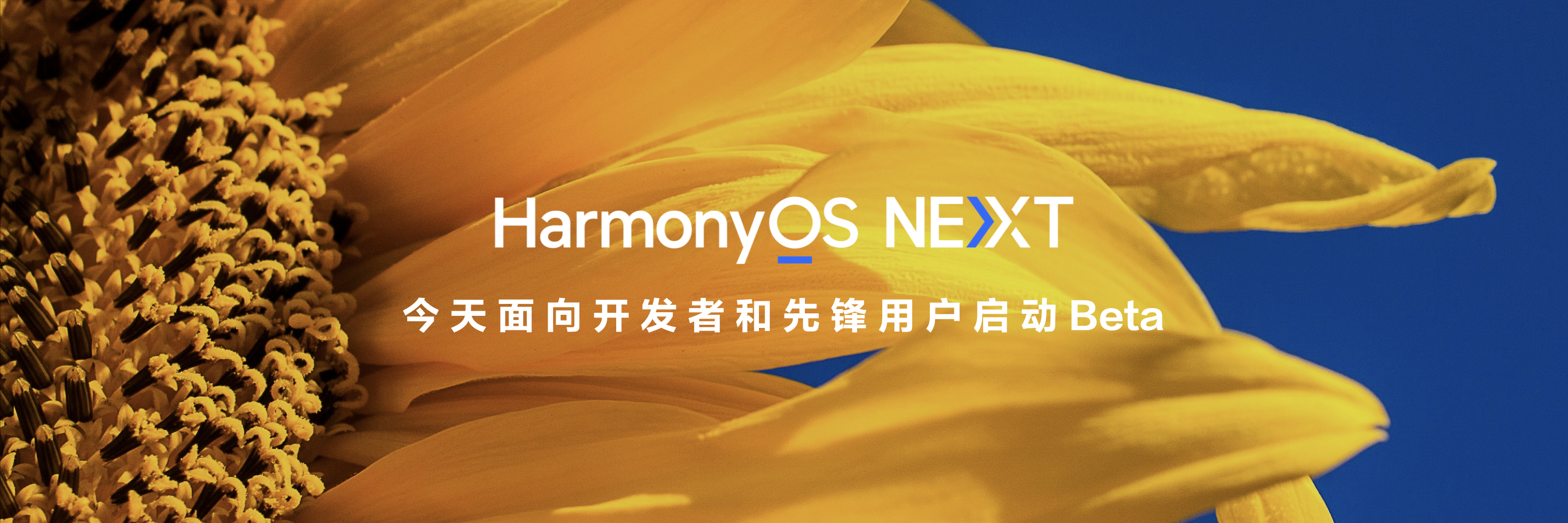 华为发布纯血鸿蒙HarmonyOS NEXT，全面提升麒麟处理器性能