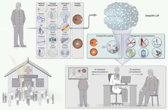我国团队发布全球首个糖尿病诊疗多模态AI系统DeepDR-LLM，突破性成果引领数字医疗新时代